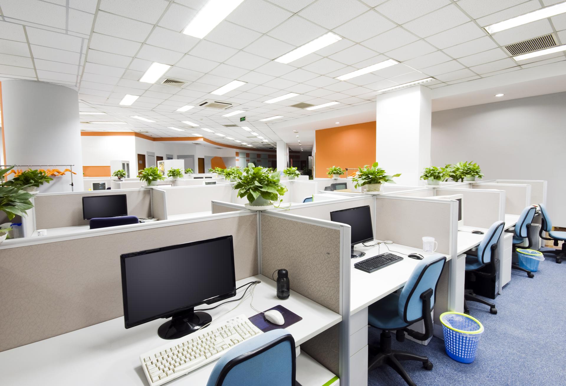 Cost-Effective Commercial Cleaning in The Hills District